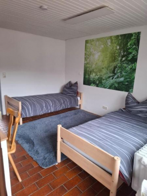 Gemütliche Wohnung in Schönau